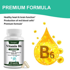 Vitamin B6 100mg Supplement with Lactase, Cellulase & Betaine – Supports Brain Health, Energy & Heart Wellness – Non-GMO