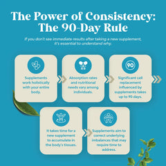 Multivitamin + Nootropic Brain Support Supplement – Memory, Focus & Mental Energy Enhancer – Cognitive Performance Formula